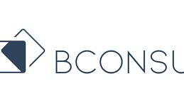 BConsult website and SEO case study