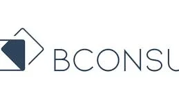 BConsult website and SEO case study